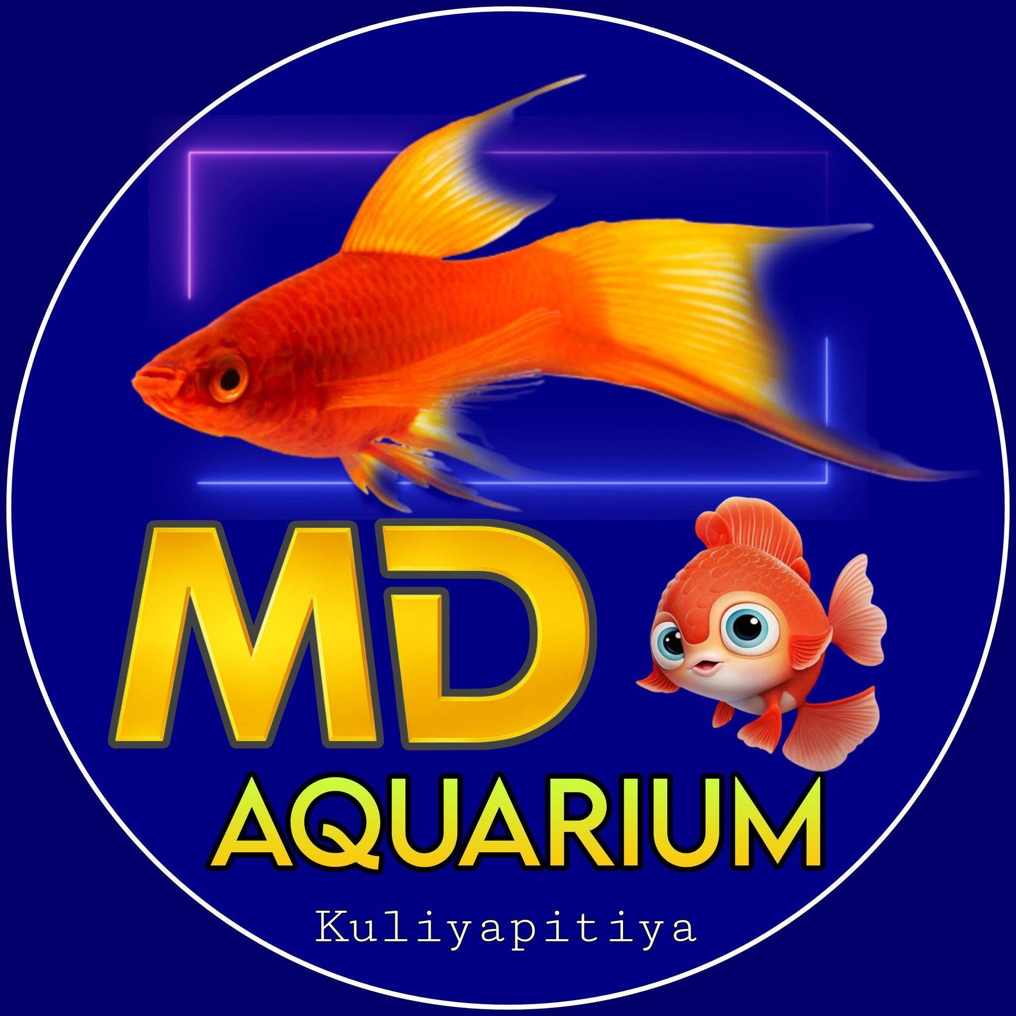 MD Aqua